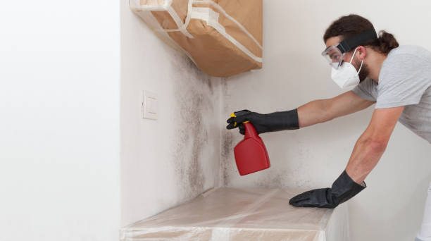 Professional Mold Removal technician working in Okemos, MI