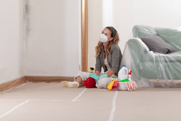 Reliable Mold Removal contractor in Okemos, MI by 24 Hour Mold Removal
